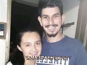 SNAKEANDBUNNY