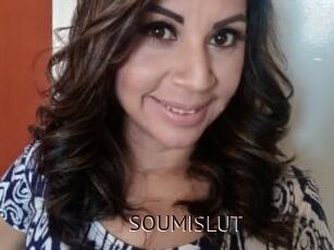 SOUMISLUT