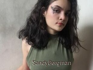 SandyBergman