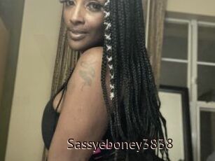 Sassyeboney3838