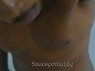 Saucegottia18g