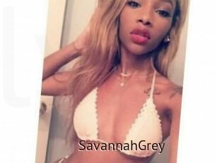 Savannah_Grey