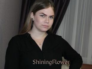 ShiningFlower