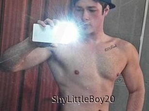ShyLittleBoy20
