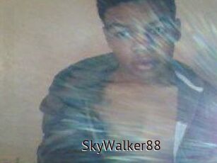 SkyWalker88
