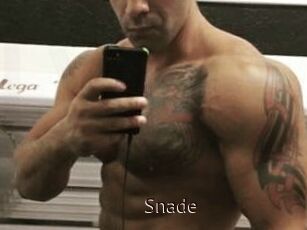 Snade