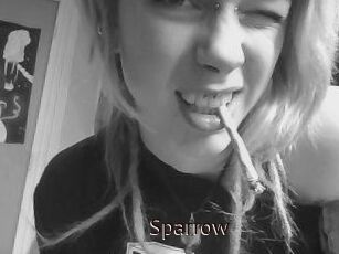 Sparrow