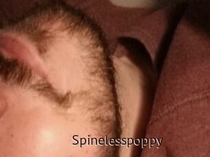 Spinelesspoppy