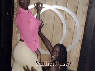 StallionPussy