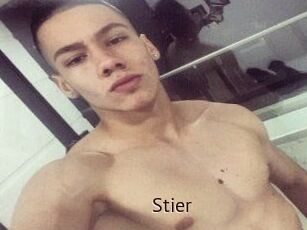 Stier