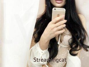 Streamingcat