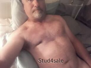 Stud4sale