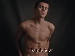 Samledger