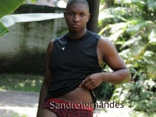Sandrofernandes