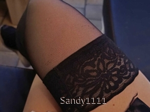 Sandy1111