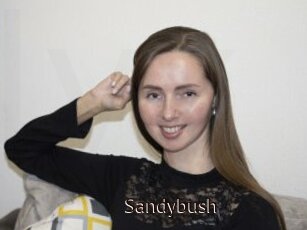 Sandybush