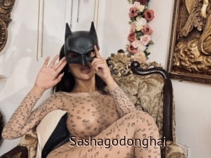 Sashagodonghai