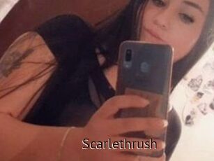 Scarlethrush