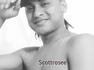 Scottrosee