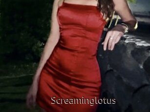 Screaminglotus