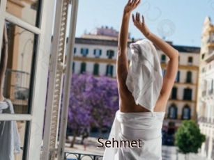 Sehmet