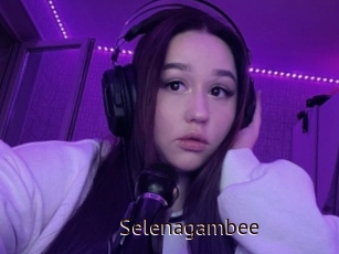 Selenagambee