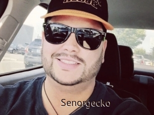 Senorgecko