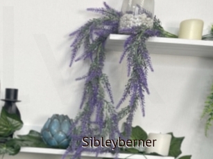 Sibleyberner