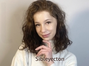 Sibleyecton