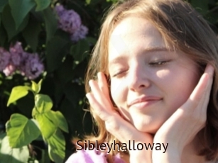 Sibleyhalloway