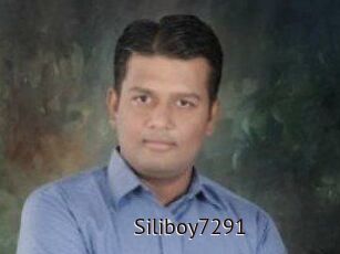 Siliboy7291
