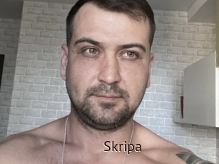 Skripa
