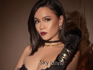 Sky_junne