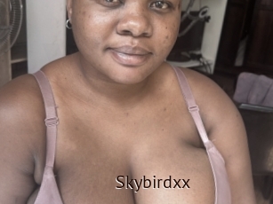 Skybirdxx