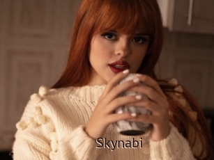 Skynabi
