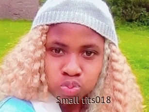 Small_tits018