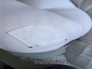 Snowflake21