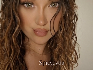 Spicycylia