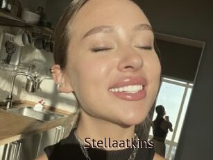 Stellaatkins