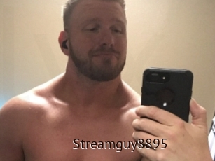 Streamguy8895