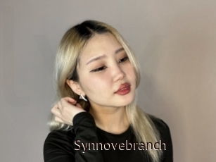 Synnovebranch