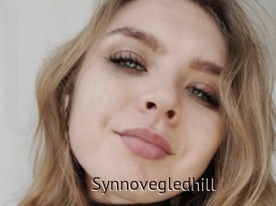 Synnovegledhill