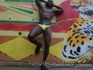 TaylorMusclehard