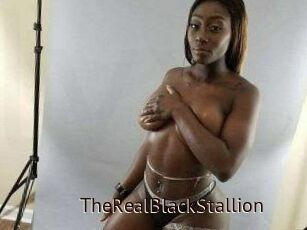 TheRealBlackStallion