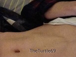 TheTurtle69