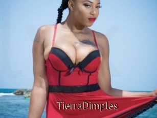 TierraDimples