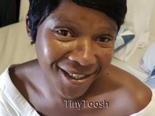TinyToosh