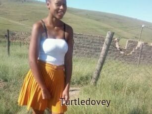 Turtledovey