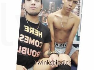 Twinksbigdick