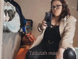 Tallulah_mae